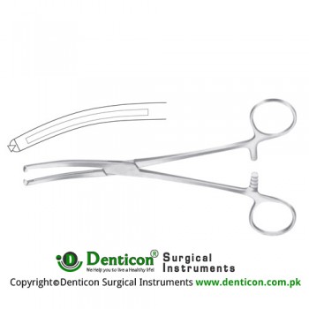 Maingot Hysterectomy Forcep Curved - 1 x 2 Teeth Stainless Steel, 20.5 cm - 8"